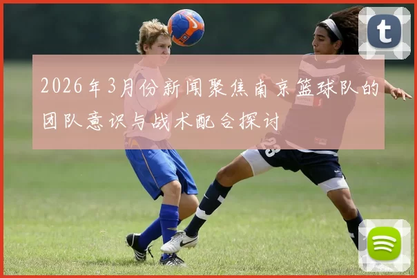 2026年3月份新闻聚焦南京篮球队的团队意识与战术配合探讨
